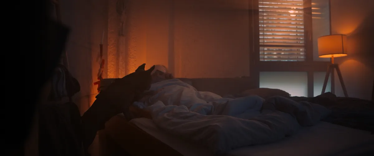 Filmstill: Der Hund springt im orange beleuchteten Schlafzimmer aufs Bett einer schlafenden Person