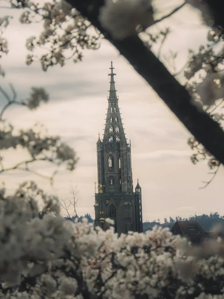 Bern's Beauty: muenster