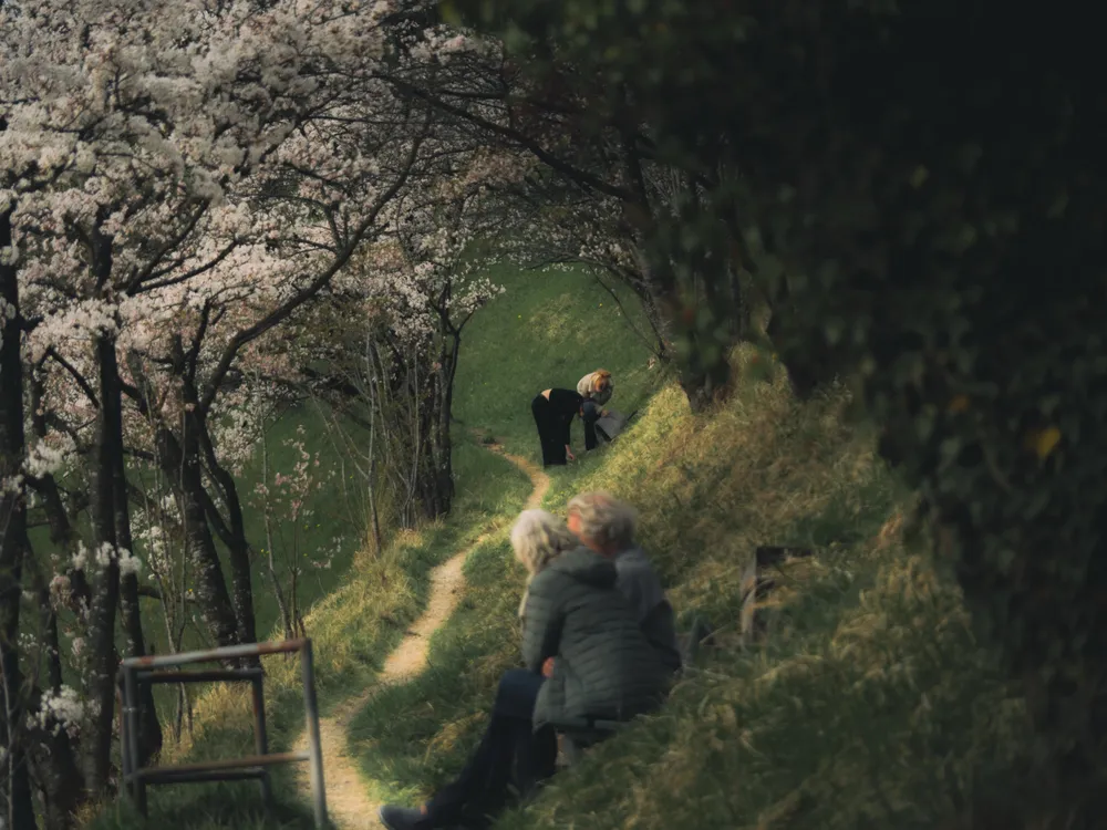 Ein Weg führt auf eine Personengruppe in Bern zu, warmes Frühlingslicht
