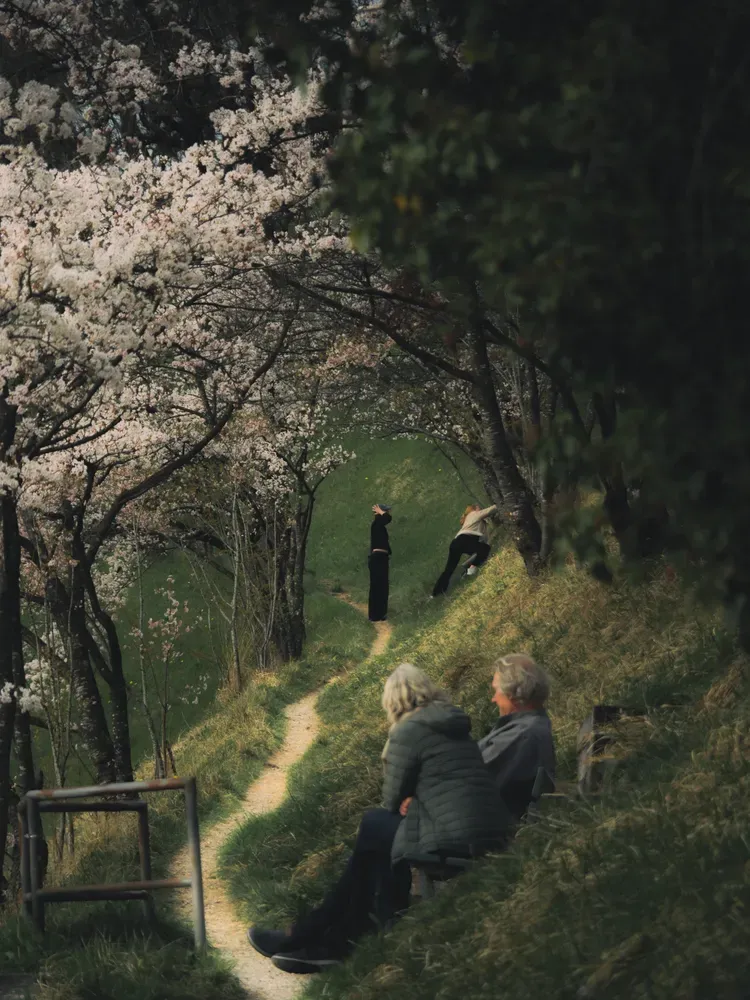 Bern's Beauty: weg hin zu personen